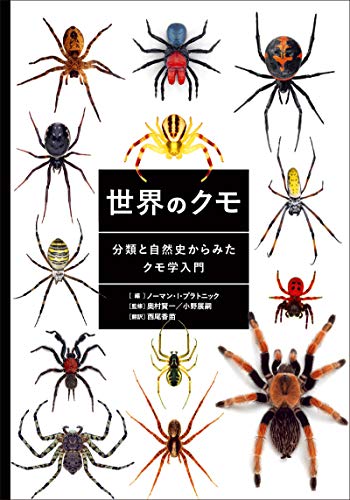 世界のクモ 分類と自然史からみたクモ学入門 51z+tMPs5NL._SL500_.jpg